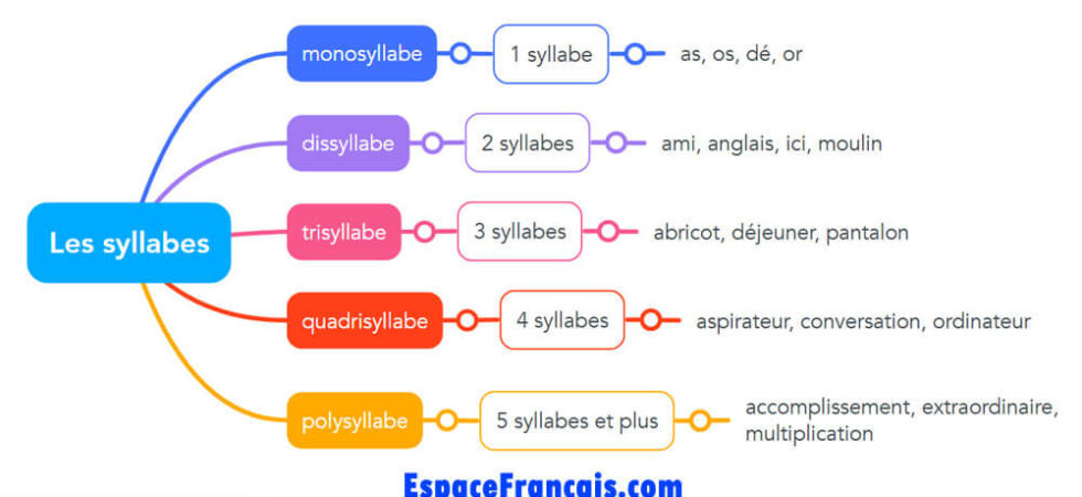 Les syllabes : monosyllabe, dissyllabe, trisyllabe, quadrisyllabe, polysyllabe